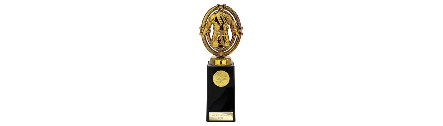 MAVERICK LEGEND MARTIAL ARTS LEGEND TROPHY - 5 SIZES - 12.5CM - 20CM MAVERICK LEGEND MARTIAL ARTS LEGEND TROPHY - 5 SIZES - 12.5CM - 20CM